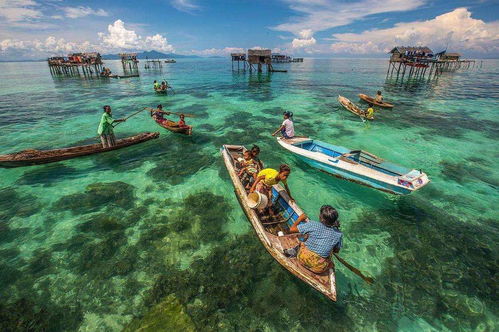 广东人自己的“水上F1”上线(广东人自己的水上F1—新一代水上运动赛事上线)