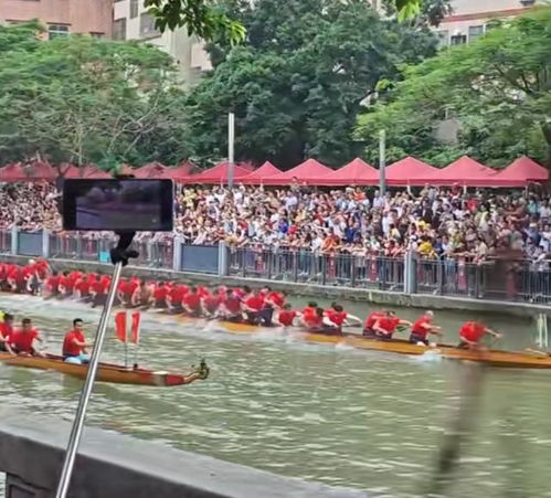 广东人自己的“水上F1”上线(广东人自己的水上F1—新一代水上运动赛事上线)