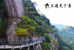 宁波至三清山汽车多少钱(宁波至三清山汽车票价详解，价格、行程与选择)