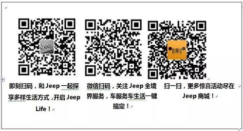 极速汽车频道一年多少钱(极速汽车频道订阅费用详解，一年需要多少钱？