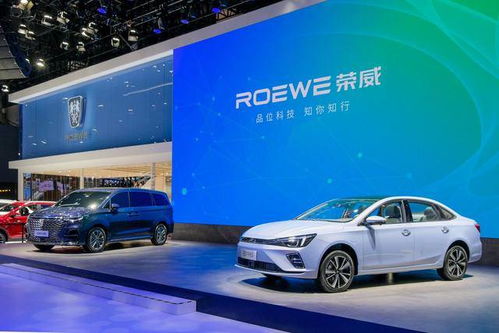 荣威双标电动汽车多少钱(荣威双标电动汽车的价格解析)