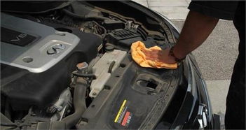 汽车发动机舱清洗多少钱(汽车发动机舱清洗费用详解)