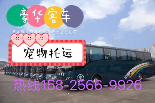 周村到邹城汽车票多少钱(周村到邹城汽车票价详解，费用、路线与行程建议)