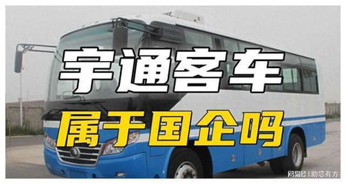 买一辆长途汽车多少钱(买一辆长途汽车需要多少钱？全面解析购车成本与因素)