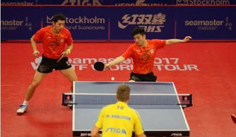 樊振东10天前主动联系德甲俱乐部(樊振东主动接触德甲俱乐部，跨界的机遇与挑战)