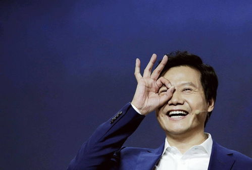 雷军删掉“诋毁是一种仰望”原文(雷军删掉诋毁是一种仰望，重塑品牌形象的决心与行动)