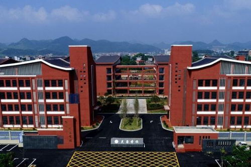 32所新大学来了 有何深意(32所新大学的到来，背后蕴含的深意与挑战)