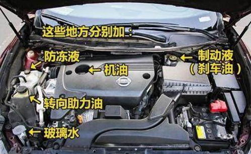 汽车气瓶多少年更换一回(汽车气瓶更换周期详解，多久需要更换一次？