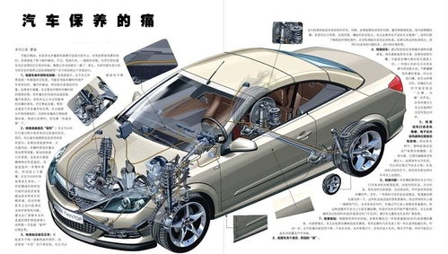 汽车加强险交多少钱一年(汽车加强险费用详解，一年需要交多少钱？