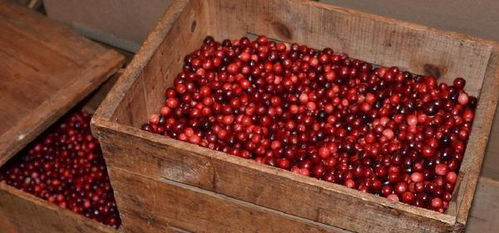 黄石进口汽车零件多少钱(黄石进口汽车零件价格概览)