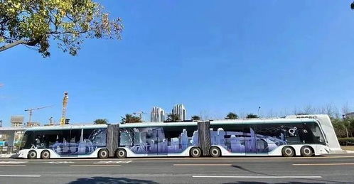 鹿寨汽车站至埌东多少钱(鹿寨汽车站至埌东的交通费用详解)