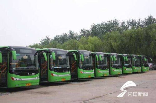 寿光到羊口汽车站多少钱(寿光到羊口汽车站的价格及旅行指南) 寿光到羊口汽车站多少钱(寿光到羊口汽车站的价格及旅行指南)