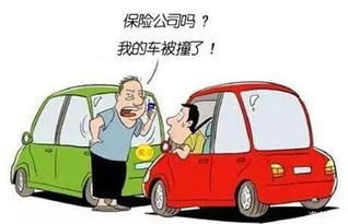 三轮汽车交保险多少钱啊(三轮汽车保险费用详解，了解价格与保障内容)