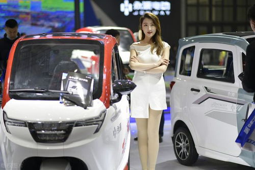 三轮汽车交保险多少钱啊(三轮汽车保险费用详解，了解价格与保障内容)