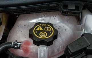 一般汽车有多少个盖子板(探究一般汽车的盖子板数量)