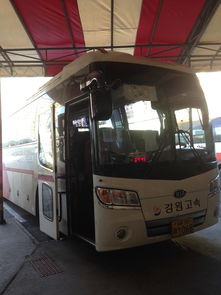 六安东城汽车站电话多少(探寻六安东城汽车站电话号码的重要性及其相关服务)