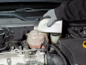 汽车加多少钱加满防冻液(汽车加多少钱加满防冻液，成本与操作详解)