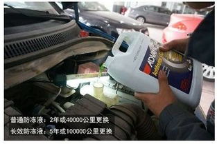 汽车手刹线要换吗多少钱(汽车手刹线更换指南，成本与必要性解析)