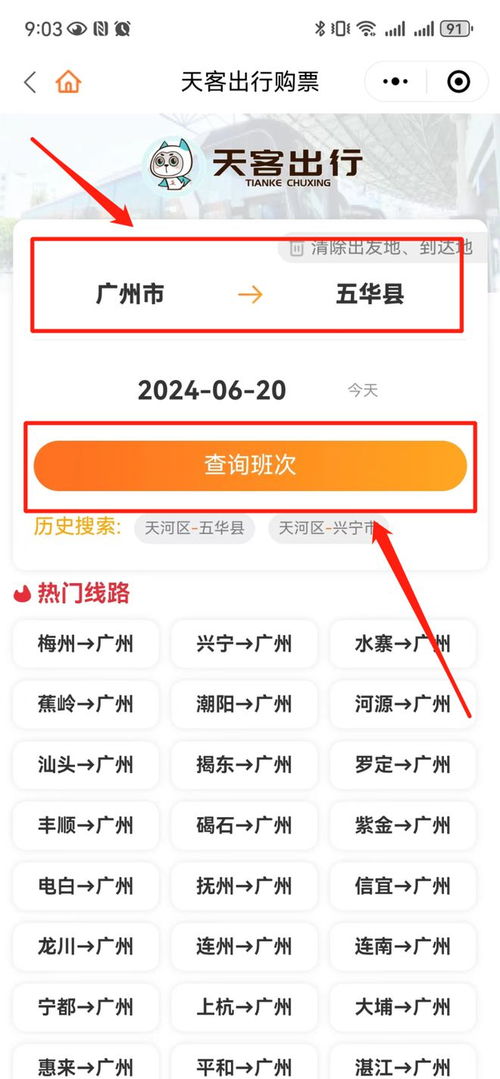 平远到广州汽车票多少钱(平远到广州汽车票价详解，费用、行程与选择)