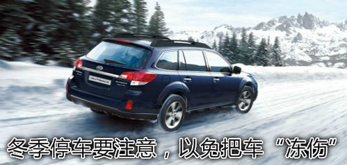 傲虎汽车多少钱一个(傲虎汽车价格解析，多少钱一个？