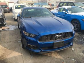 野马三门汽车多少钱落地(野马三门汽车价格解析，落地价究竟多少？