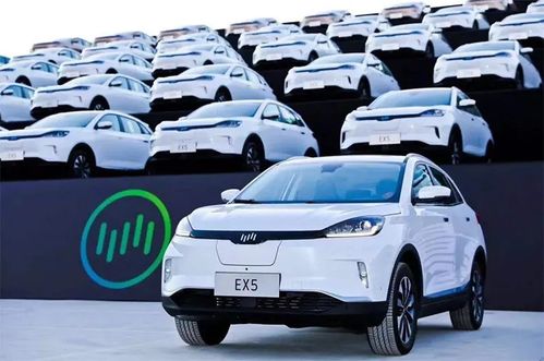 汽车上户要交多少保险金(汽车上户所需保险金详解) 汽车上户要交多少保险金(汽车上户所需保险金详解)