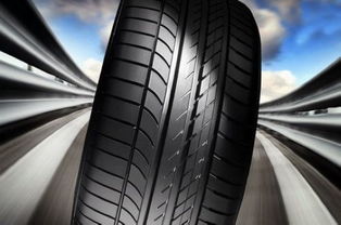 汽车轮胎分多少个种类(汽车轮胎的种类及其特点)