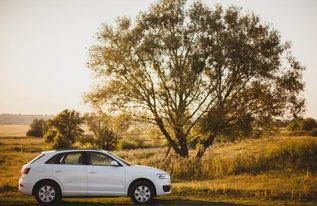 汽车一般停多少天最好看(汽车停放天数与最佳观赏期探讨)