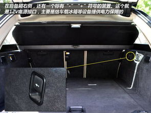 汽车座椅换填宠物多少钱(汽车座椅换填宠物窝,价格与考虑因素详解) 汽车座椅换填宠物多少钱(汽车座椅换填宠物窝,价格与考虑因素详解)