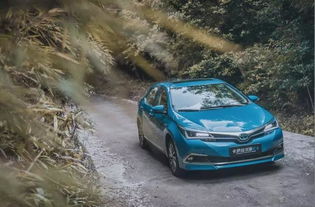 汽车上大坡用多少迈的油(汽车上大坡，速度与油耗的微妙平衡)