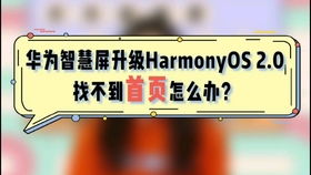 华为电脑支付页面怎么办(华为电脑支付页面操作指南)