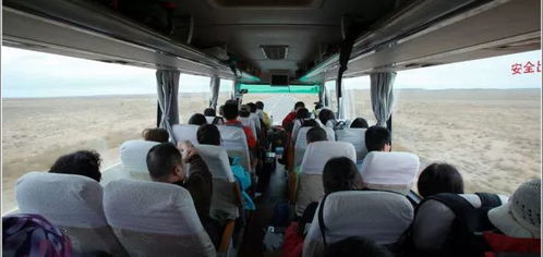 岑溪至河池汽车票多少钱(岑溪至河池汽车票价详解)