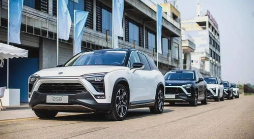 蔚来汽车车主有多少钱(蔚来汽车车主的财富背景分析)