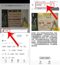 实时翻译电脑华为怎么用(华为实时翻译电脑使用指南，轻松实现跨语言交流)