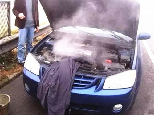 保养汽车发动机壳多少钱(汽车发动机壳保养费用解析)