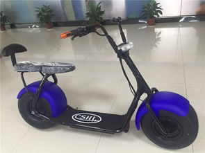 折叠双排电动汽车多少钱(折叠双排电动汽车的价格及其市场影响力)