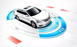 汽车两年出险9次是多少(汽车两年出险九次背后的故事与解析)