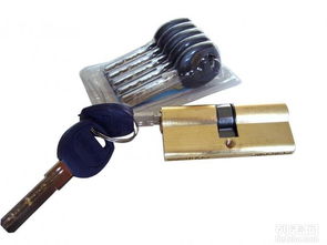 汽车门锁芯是多少钱的(汽车门锁芯价格解析，多少钱是合理的？