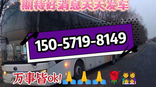 沙市到郑州汽车票多少钱(沙市到郑州汽车票价详解，费用、时间与路线)