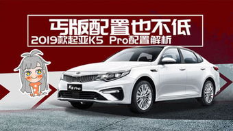 莘县起亚汽车多少钱一台(莘县起亚汽车价格解析)