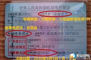 汽车票信丰至佛山多少钱(汽车票信丰至佛山价格详解)