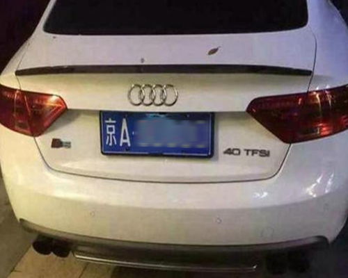 补办小汽车车牌要多少钱(补办小汽车车牌的费用详解) 补办小汽车车牌要多少钱(补办小汽车车牌的费用详解)