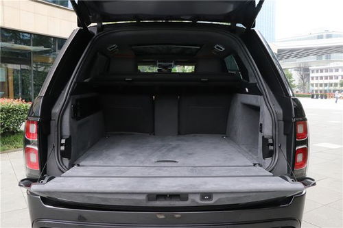 迈克隆汽车多少钱一盒(迈克隆汽车价格解析，多少钱一盒？