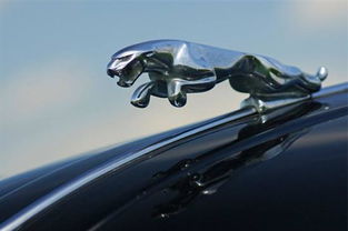 汽车刮石头多少钱一米(汽车刮石头价格解析，每米费用究竟多少？