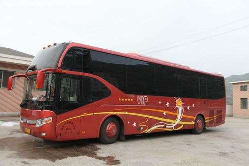 广安至金华汽车票多少钱(广安至金华汽车票价查询，费用详解与旅行准备)