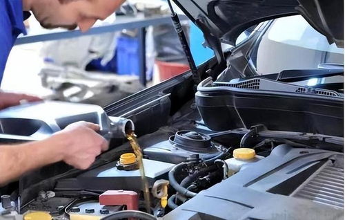 汽车能换大脚踏吗多少钱(汽车脚踏升级，大脚踏的更换成本与考量)