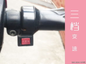 电动汽车调刹车泵多少钱(电动汽车刹车泵调整费用解析，价格因素与考量)