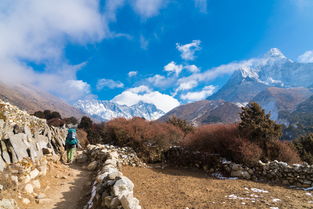 福贡到泸水汽车票价多少(福贡到泸水汽车票价详解,价格、路线与旅行准备) 福贡到泸水汽车票价多少(福贡到泸水汽车票价详解,价格、路线与旅行准备)