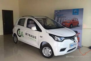 电动汽车雷丁加多少油(雷丁电动汽车加油量解析)