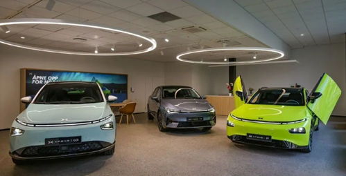 小鹏电动汽车坏了多少钱(小鹏电动汽车维修成本与费用分析)